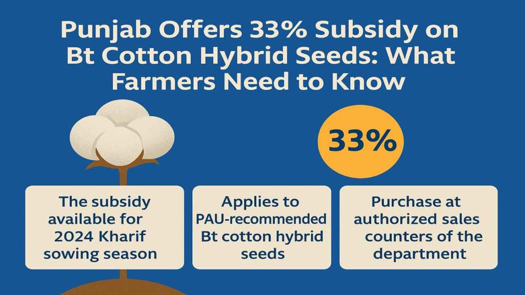 Infographic titled "Punjab Offers 33% Subsidy on Bt Cotton Hybrid Seeds: What Farmers Need to Know." It outlines the Kharif 2024 seed subsidy, eligible varieties, and official purchase channels.